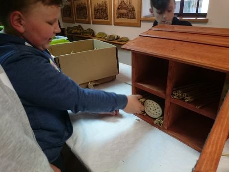 Wycieczka do zagrody Pszczółki przyjaciółki