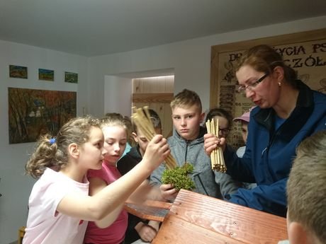 Wycieczka do zagrody Pszczółki przyjaciółki