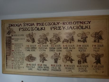 Wycieczka do zagrody Pszczółki przyjaciółki