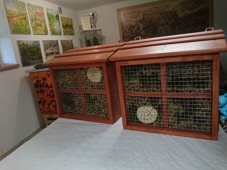 Wycieczka do zagrody Pszczółki przyjaciółki