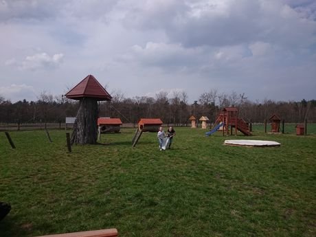 Wycieczka do zagrody Pszczółki przyjaciółki