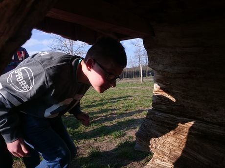 Wycieczka do zagrody Pszczółki przyjaciółki